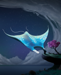 Manta Rays Are Blankets