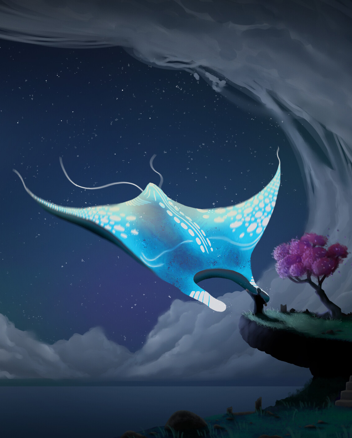 Manta Rays Are Blankets